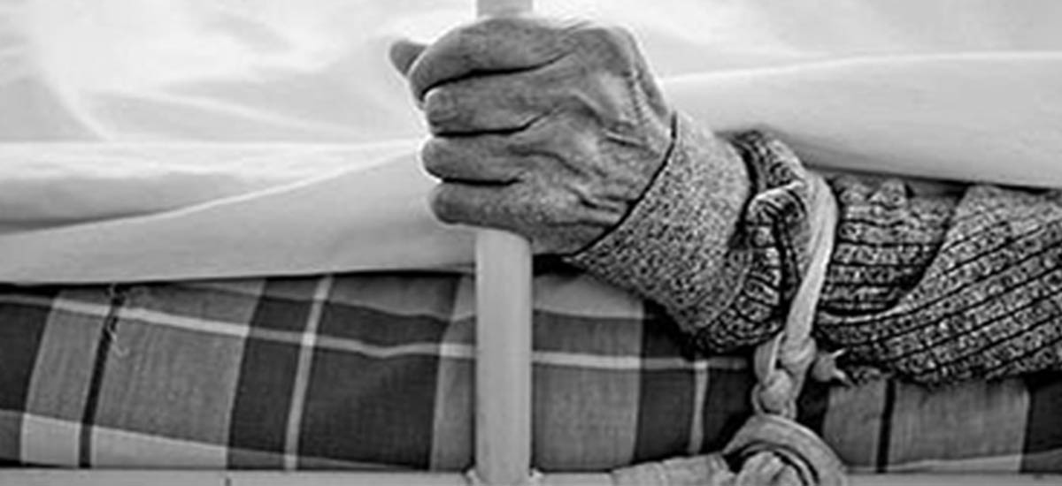 Utilizar como sistema para dejarlos libres